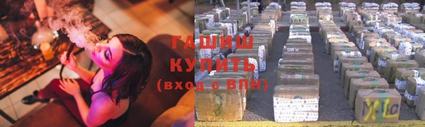 СК Елизово