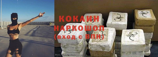 СК Елизово