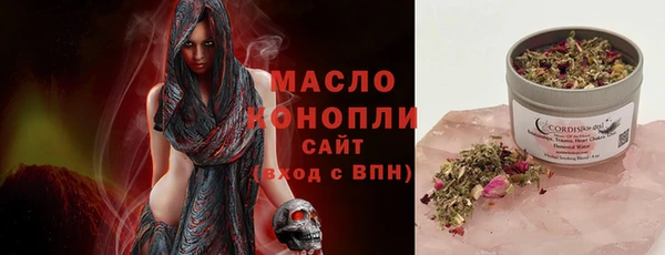 тгк Ельня