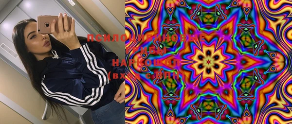 тгк Ельня