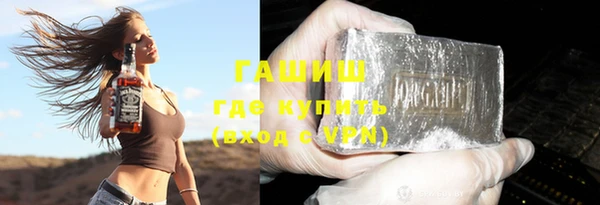 СК Елизово