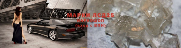 прущие крисы Елабуга