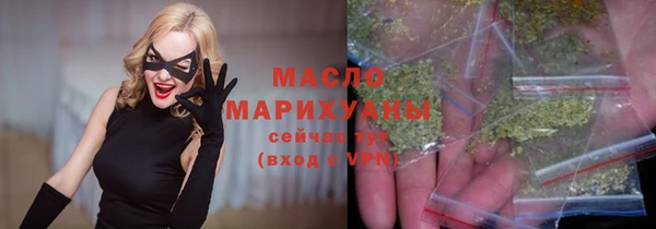 тгк Ельня