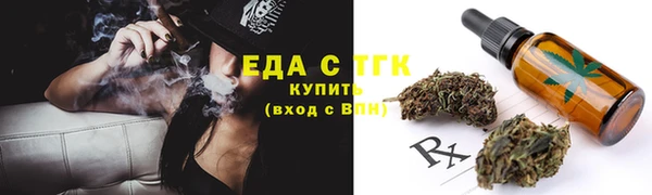 СК Елизово