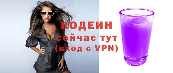 СК Елизово