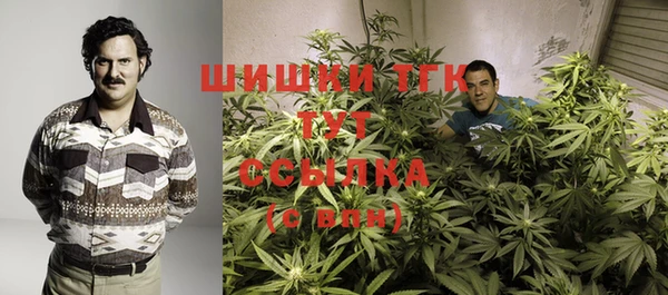 тгк Ельня