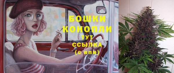СК Елизово
