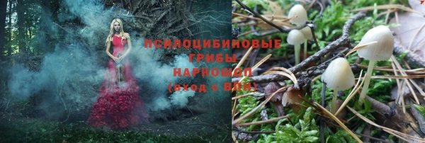 СК Елизово