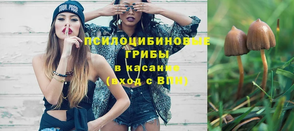 прущие крисы Елабуга