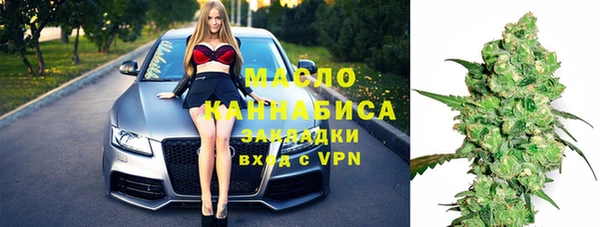 тгк Ельня