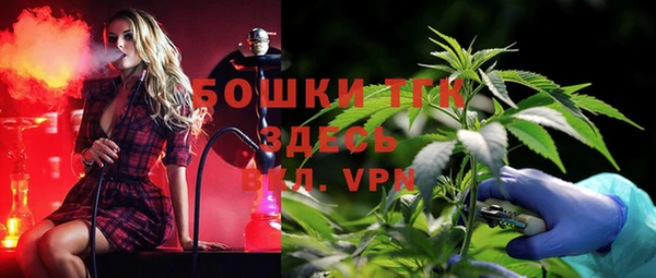 тгк Ельня