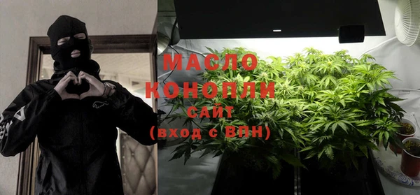 тгк Ельня