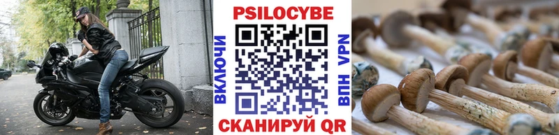 гидра ТОР  закладка  Заозёрск  Галлюциногенные грибы прущие грибы 