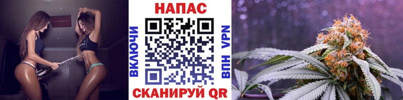 где найти   Заозёрск  Каннабис тримм 